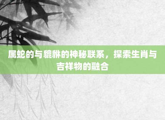 属蛇的与貔貅的神秘联系，探索生肖与吉祥物的融合