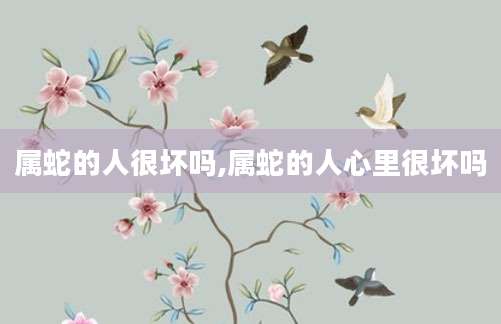 属蛇的人很坏吗,属蛇的人心里很坏吗