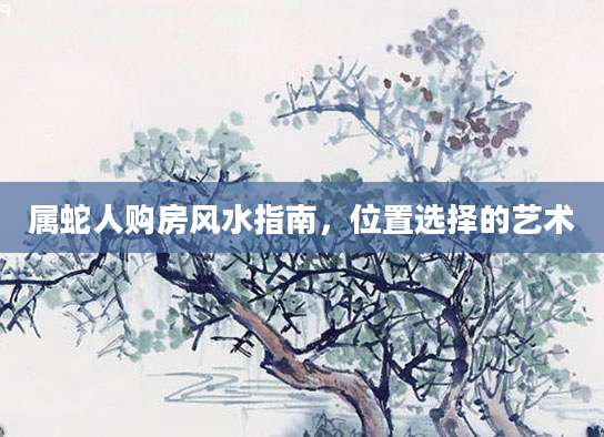 属蛇人购房风水指南，位置选择的艺术