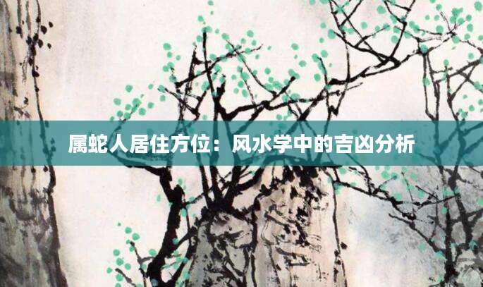 属蛇人居住方位：风水学中的吉凶分析