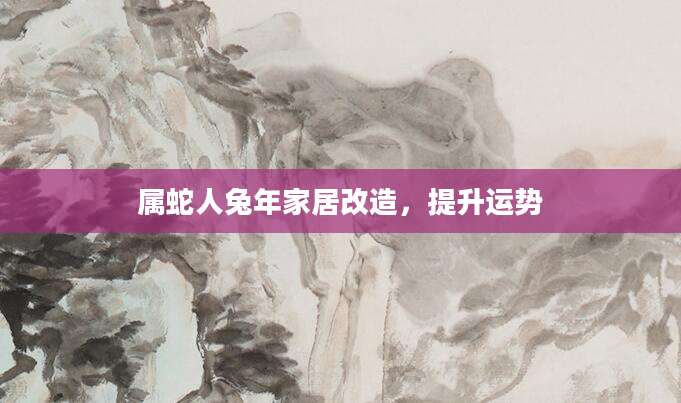 属蛇人兔年家居改造，提升运势