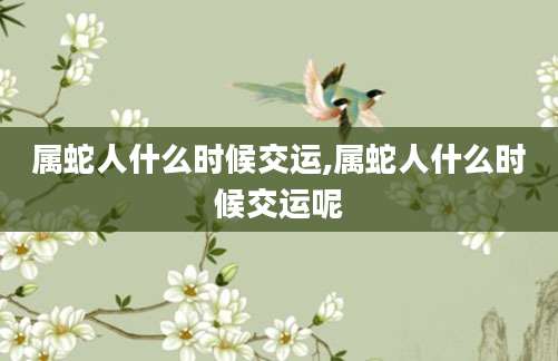 属蛇人什么时候交运,属蛇人什么时候交运呢