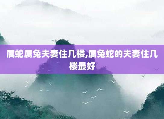 属蛇属兔夫妻住几楼,属兔蛇的夫妻住几楼最好