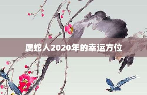 属蛇人2020年的幸运方位