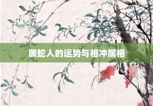 属蛇人的运势与相冲属相