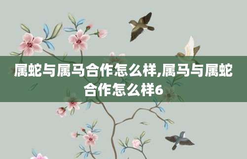 属蛇与属马合作怎么样,属马与属蛇合作怎么样6