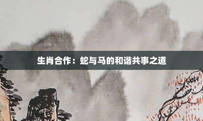 生肖合作：蛇与马的和谐共事之道