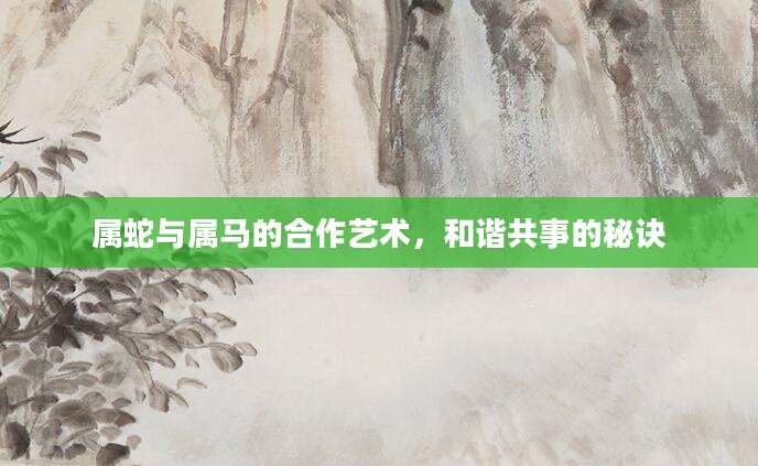 属蛇与属马的合作艺术，和谐共事的秘诀