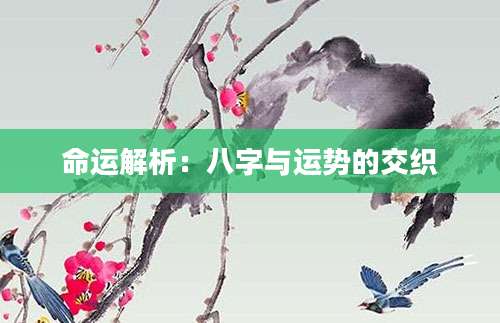 命运解析：八字与运势的交织
