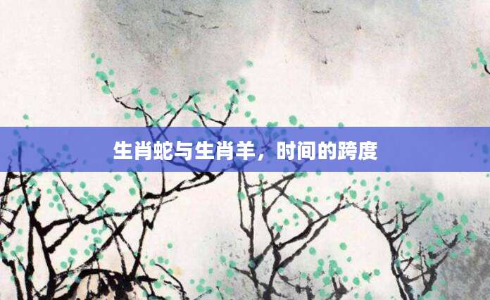 生肖蛇与生肖羊，时间的跨度
