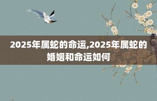 2025年属蛇的命运,2025年属蛇的婚姻和命运如何