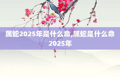 属蛇2025年是什么命,属蛇是什么命2025年