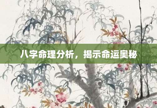 八字命理分析，揭示命运奥秘