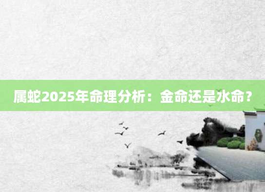 属蛇2025年命理分析：金命还是水命？