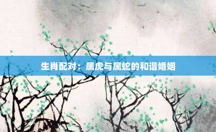 生肖配对：属虎与属蛇的和谐婚姻