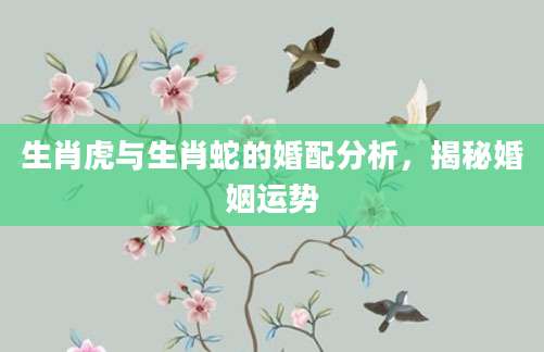 生肖虎与生肖蛇的婚配分析，揭秘婚姻运势