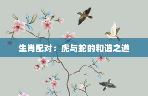 生肖配对：虎与蛇的和谐之道