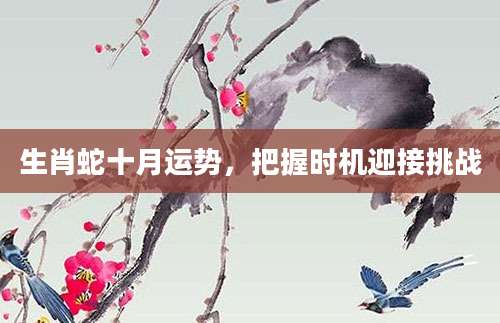生肖蛇十月运势，把握时机迎接挑战