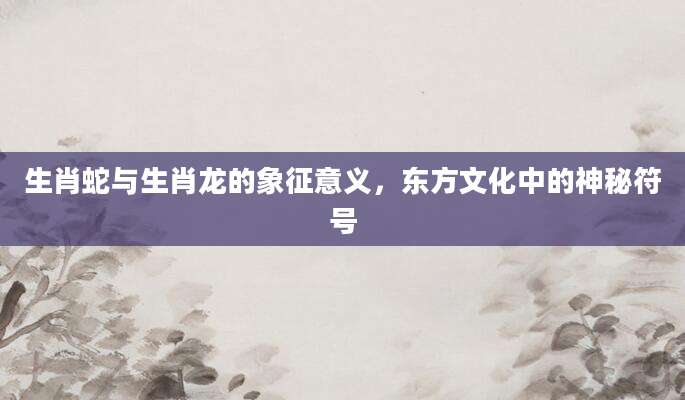 生肖蛇与生肖龙的象征意义，东方文化中的神秘符号
