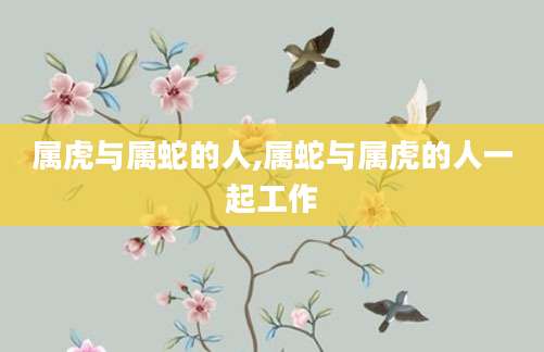 属虎与属蛇的人,属蛇与属虎的人一起工作