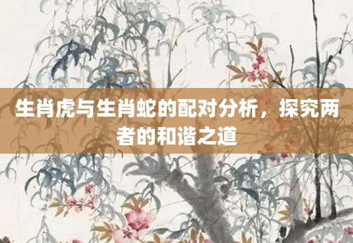 生肖虎与生肖蛇的配对分析，探究两者的和谐之道