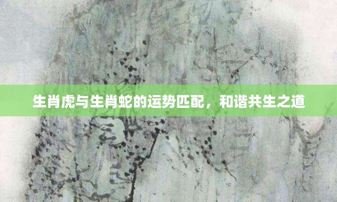 生肖虎与生肖蛇的运势匹配，和谐共生之道