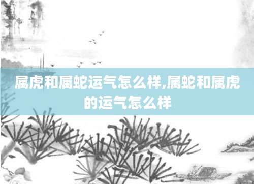属虎和属蛇运气怎么样,属蛇和属虎的运气怎么样