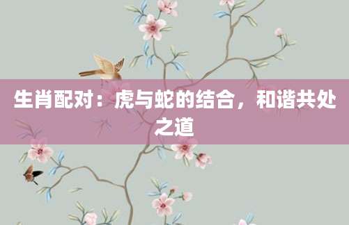 生肖配对：虎与蛇的结合，和谐共处之道