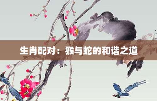 生肖配对：猴与蛇的和谐之道