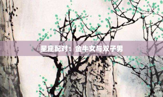 星座配对：金牛女与双子男