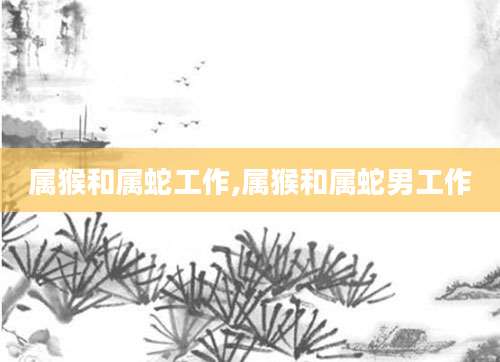 属猴和属蛇工作,属猴和属蛇男工作