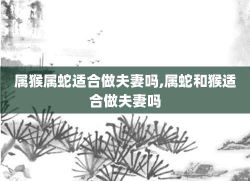 属猴属蛇适合做夫妻吗,属蛇和猴适合做夫妻吗