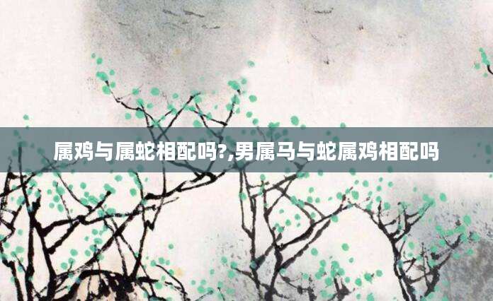 属鸡与属蛇相配吗?,男属马与蛇属鸡相配吗