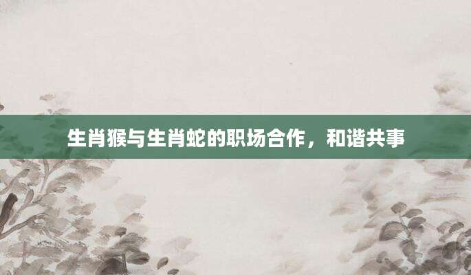 生肖猴与生肖蛇的职场合作，和谐共事