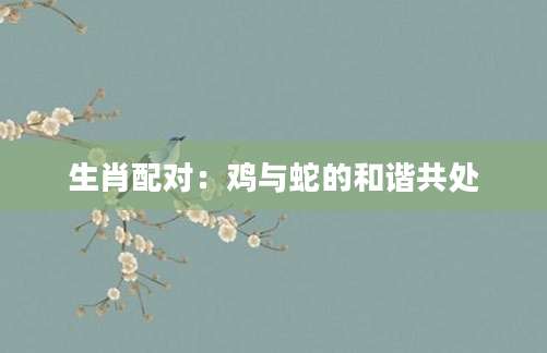 生肖配对：鸡与蛇的和谐共处