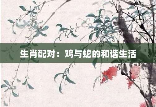 生肖配对：鸡与蛇的和谐生活
