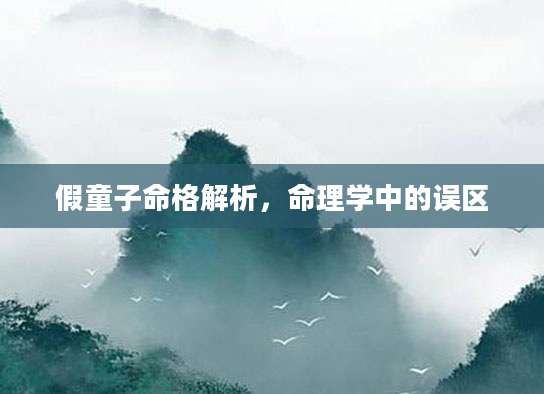 假童子命格解析，命理学中的误区