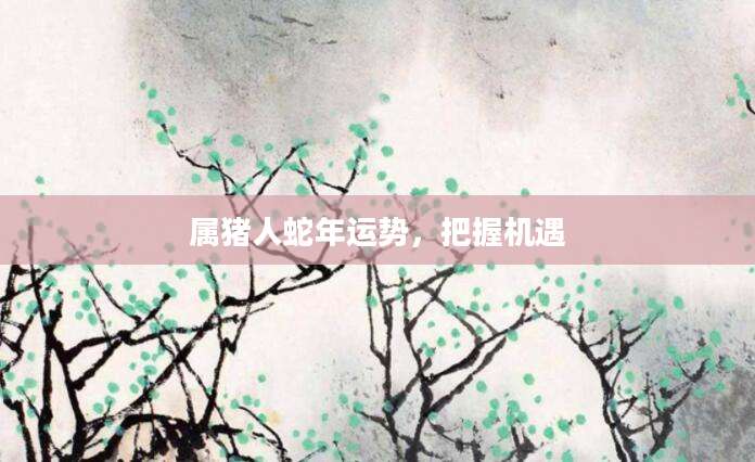 属猪人蛇年运势，把握机遇