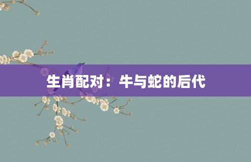 生肖配对：牛与蛇的后代