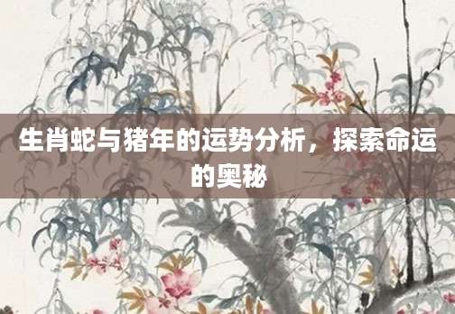 生肖蛇与猪年的运势分析，探索命运的奥秘