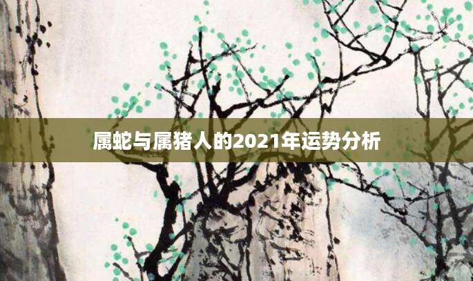 属蛇与属猪人的2021年运势分析