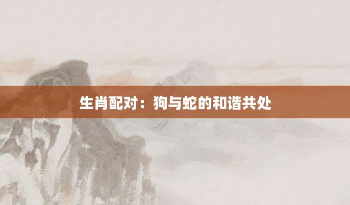 生肖配对：狗与蛇的和谐共处