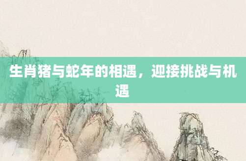 生肖猪与蛇年的相遇，迎接挑战与机遇