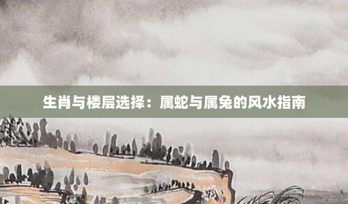 生肖与楼层选择：属蛇与属兔的风水指南