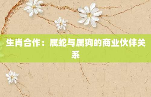 生肖合作：属蛇与属狗的商业伙伴关系