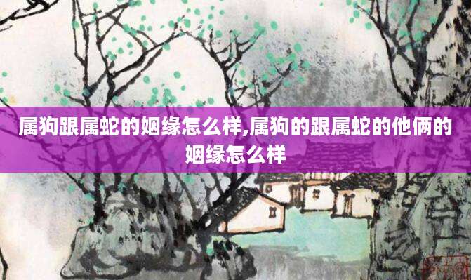属狗跟属蛇的姻缘怎么样,属狗的跟属蛇的他俩的姻缘怎么样