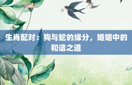 生肖配对：狗与蛇的缘分，婚姻中的和谐之道