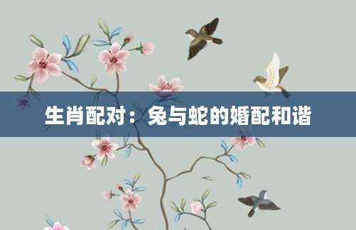 生肖配对：兔与蛇的婚配和谐