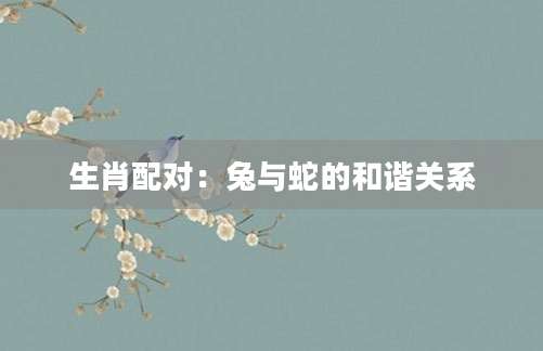 生肖配对：兔与蛇的和谐关系