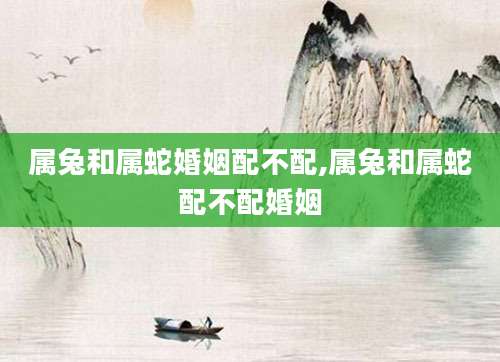 属兔和属蛇婚姻配不配,属兔和属蛇配不配婚姻